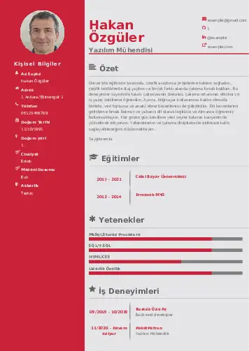 Yazılım Mühendisi Cv Örnekleri cv indir